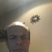 gilrodrig676