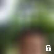 bamsantiago11