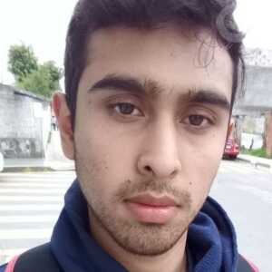 albertout895