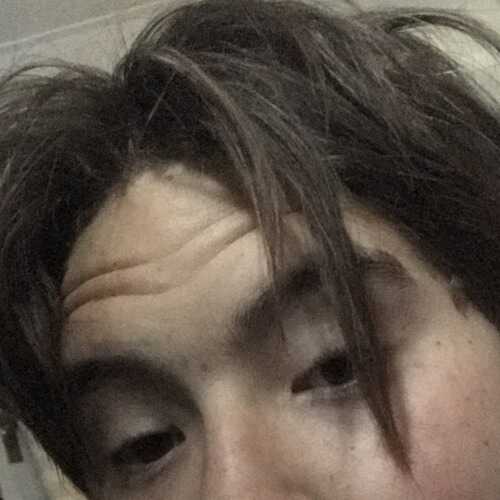 djp13