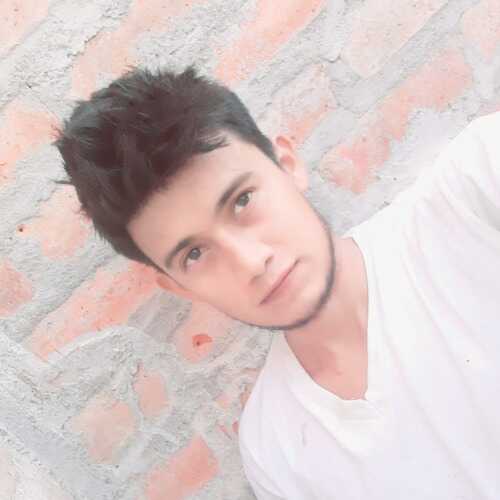 finvalorro279