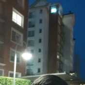 pollolove