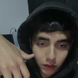 badcghdgdjieeehd