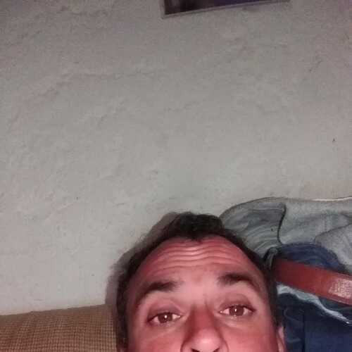 Carloschacal