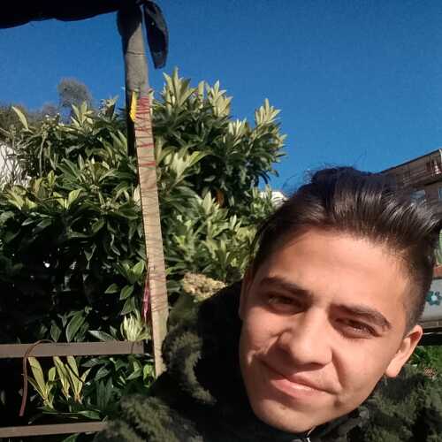 andreevalenzu639