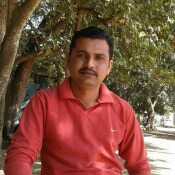 haris743