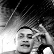 Josec550