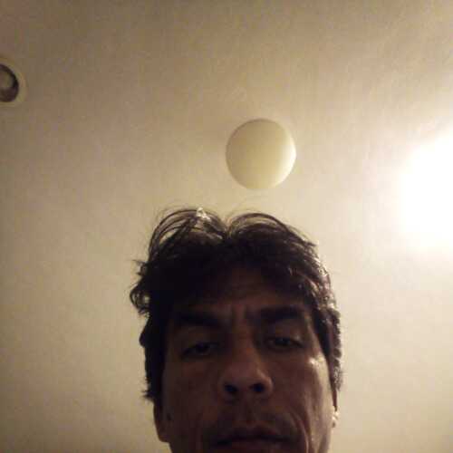 Malave