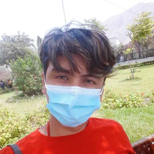 medicendrake