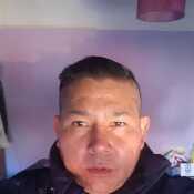 Lobo7320