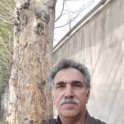mmshah9852
