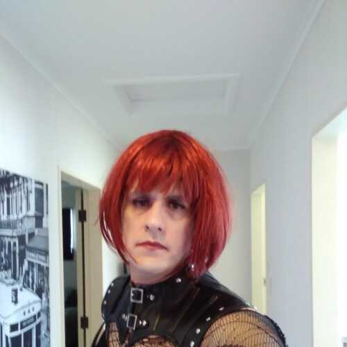 hotdresserWellington