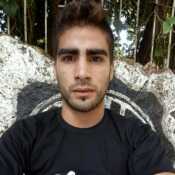DENIS231