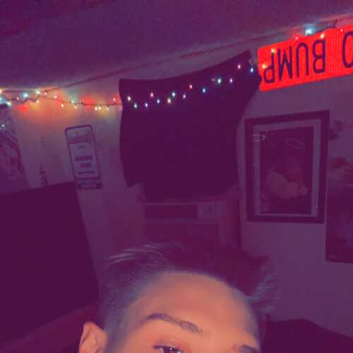 Wolfie84