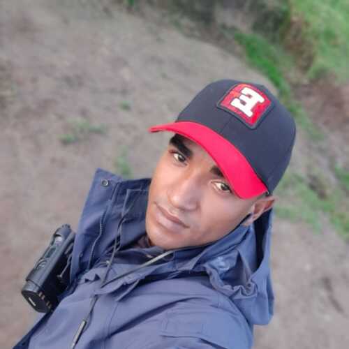 jehinervi480