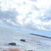 Mydalovers