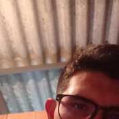david