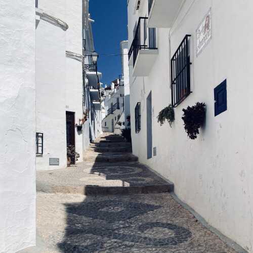Ulpio