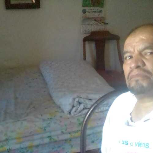 abela668