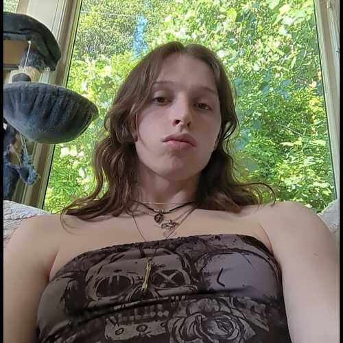 Taylor 