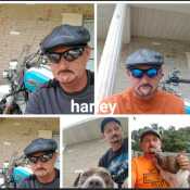 Harleyguyy