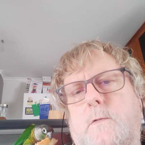 bobdown