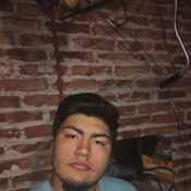 alan748nlfyk