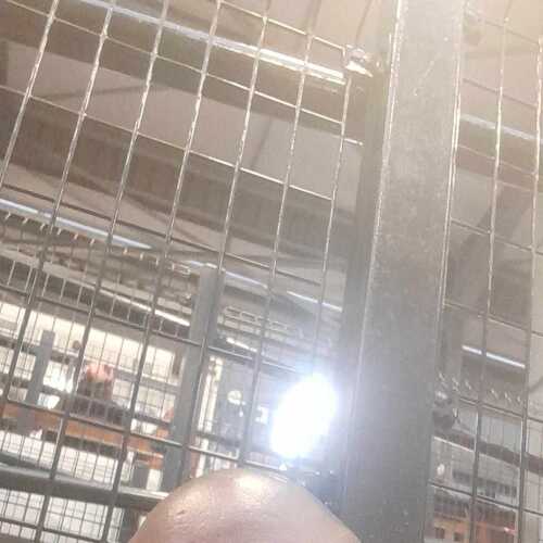 Papi