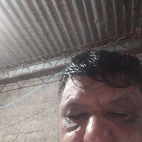Dante Fernando 