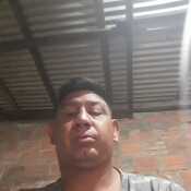 gvcaball504