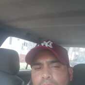 David11