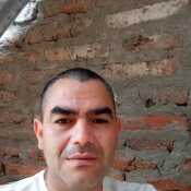 longan272Santiago