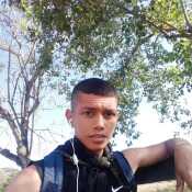 danielandrespe341