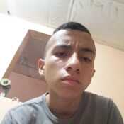 Faber01