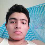84dpavonn