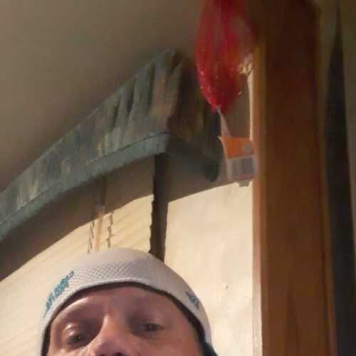 bradbenfi161