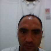 mosquerawul641