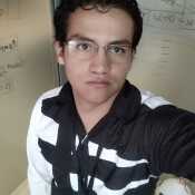 camelodi802