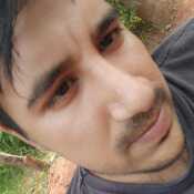 amarillaan038