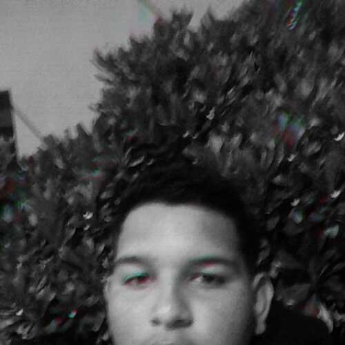 jeawiljezmed903