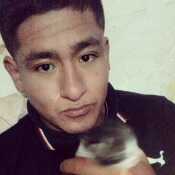 Thiago953