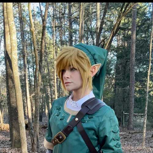 Link