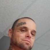 Thaigersixx