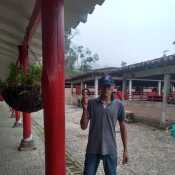 Pincheja958
