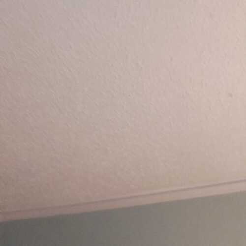 bfbbjaeverclfca