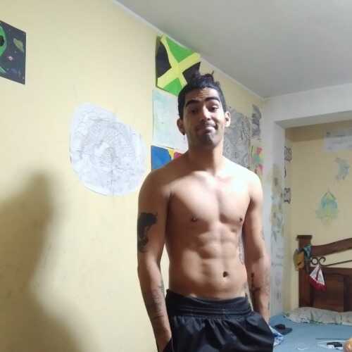 ginolok532