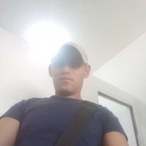 colinae319