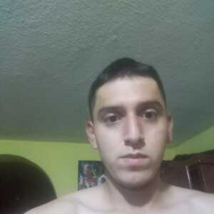 Lobo123Ibarra