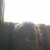 socasperezjose19