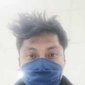 pandis453